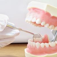 訪問歯科でも義歯の作成・調整が可能！